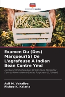 Examen Du (Des) Marqueur(S) De L'agrafeuse À Indian Bean Contre Ymd (French Edition) 6208146909 Book Cover