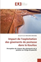 Impact de l’exploitation des gisements de postasse dans le Kouilou: Perception de risques des gisements de la potasse au Congo Brazzaville 620342465X Book Cover