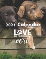 2021 Calendar: Love Is A Four Legged Word: 12 Month Wall Calendar, 11 x 17 Planner B08HTG65ZQ Book Cover