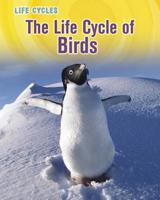 The Life Cycle of Birds 1432949861 Book Cover
