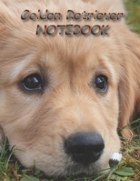Golden Retriever NOTEBOOK: Dog Notebooks and Journals 110 pages (8.5x11) 1660525519 Book Cover