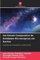 Um Estudo Comparativo de Entidades Microscópicas em Rochas (Portuguese Edition) 6202355190 Book Cover