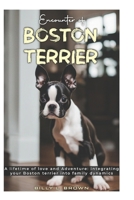 Encounter of BOSTON TERRIER: A Lifetime of love and Adventure: Integrating your Boston terrier into family dynamics. B0F3BZCZQ3 Book Cover