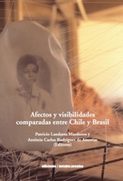 Afectos y visibilidades comparadas entre Chile y Brasil (Spanish Edition) 9566203330 Book Cover
