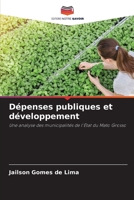 Dépenses publiques et développement 6206421341 Book Cover