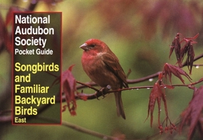 NAS Pocket Guide to Songbirds and Familiar Backyard Birds: Eastern Region: East (National Audubon Society Pocket Guides) 0679749268 Book Cover