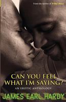 Can You Feel What I'm Saying?: An Erotic Anthology 0967832829 Book Cover