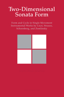 Two-Dimensional Sonata Form: Form and Cycle in Single-Movement Instrumental Works by Liszt, Strauss, Schoenberg, and Zemlinsky 9058677516 Book Cover