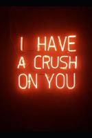 I Have a Crush on You: Notebook 1075734037 Book Cover