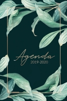 Agenda 2019 2020: Agenda Settimanale 2019 - 2020 | Agenda Giornaliera - Ottobre 2019 a Dicembre 2020 - Journalier, Agende, Office e Calendario 2019/2020 (Italian Edition) 1692177141 Book Cover