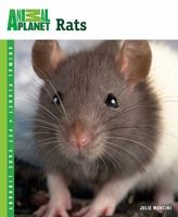 Rats 0793837065 Book Cover