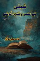 Shibli ke Ilmi-o-Fikri Goshey: (Literary Essays of Shibli Nomani) (Urdu Edition) 936908066X Book Cover