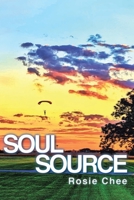 Soul Source: A Soul Series Volume B0DSCMDFD6 Book Cover