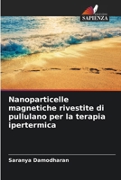 Nanoparticelle magnetiche rivestite di pullulano per la terapia ipertermica (Italian Edition) 6209045030 Book Cover