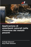 Applicazione di assorbenti naturali nella rimozione dei metalli pesanti (Italian Edition) 620954844X Book Cover