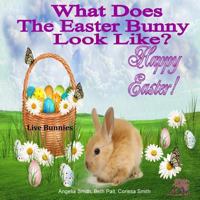 What Does The Easter Bunny Look Like? 1530724546 Book Cover