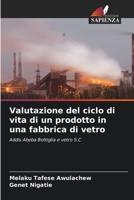 Valutazione del ciclo di vita di un prodotto in una fabbrica di vetro 6204052039 Book Cover