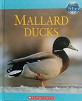 Mallard Ducks by Amy-Jane Beer 2008, Hardcover Hardcover Amy-Jane Beer 0717262693 Book Cover