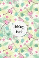 Address Book: Summer Flamingo Design - Keep Your Important Contacts in The One Organizer Name, Addresses, Email, Phone Numbers, Birthday - Custom Alphabetical Organizer B083XVFB8R Book Cover