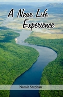 A Near Life Experience 9390202086 Book Cover