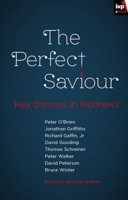 The Perfect Saviour 184474583X Book Cover