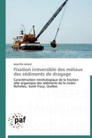 Fixation Irréversible Des Métaux Des Sédiments de Dragage 3838172647 Book Cover