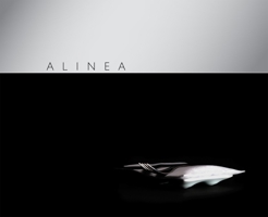 Alinea 1580089283 Book Cover