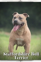 Staffordshire Bull Terrier: Dog breed overview and guide B0C9SDN71D Book Cover