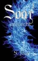 Soar 1 - Entfacht (German Edition) 375286110X Book Cover