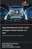 Approfondimenti pratici sullo sviluppo urbano basato sui dati (Italian Edition) 6208190908 Book Cover
