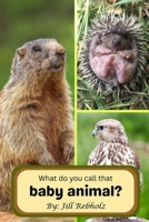 What do you call that baby animal? B0FPDFD15G Book Cover