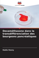 Dexaméthasone dans la transdifférenciation des bourgeons pancréatiques (French Edition) 6208544246 Book Cover