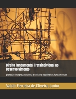 Direito Fundamental Transindividual ao Desenvolvimento: proteção integral, pluralista e solidária dos direitos fundamentais (Portuguese Edition) B0GFD48KNC Book Cover