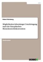 Möglichkeiten lebenslanger Unterbringung nach der Europäischen Menschenrechtskonvention 3656172447 Book Cover
