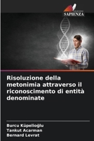 Risoluzione della metonimia attraverso il riconoscimento di entità denominate (Italian Edition) 6208113830 Book Cover