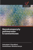 Nanokompozyty polimerowo-krzemionkowe (Polish Edition) 6209343708 Book Cover
