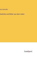 Gedichte und Bilder aus dem Leben 3382043394 Book Cover