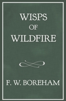 Wisps of Wildfire 1521753962 Book Cover