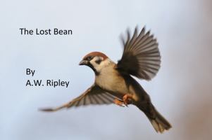 The Lost Bean 1949808025 Book Cover