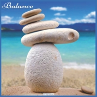 Balance 2021 Wall Calendar: Official Balance Calendar 2021 B08RGN5YGS Book Cover
