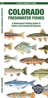 Colorado Freshwater Fishes: A Waterproof Folding Guide to Native and Introduced Species 1620056674 Book Cover