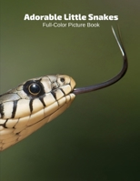 Adorable Snakes Full-Color Picture Book: Snakes Picture Book for Children, Seniors and Alzheimer’s Patients -Reptiles Wildlife Nature 1670146278 Book Cover