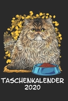 Taschenkalender 2020: Taschenkalender für Sept. 2019 bis Dezember 2020 A5 Terminplaner Wochenplaner Terminkalender Wochenkalender Organizer mit Perser ... Kätzchen Katzenrasse (German Edition) 1692825453 Book Cover