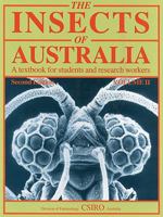 Insects of Australia, Volume 2: A Textbook for Students and Research Workers 0522846386 Book Cover