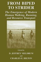 From Biped to Strider: The Emergence of Modern Human Walking, Running and Resource Transport 030648000X Book Cover