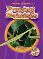 Praying Mantises (Blastoff Readers: World of Insects) (Blastoff Readers: World of Insects) (World of Insects) 160014053X Book Cover