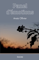 Panel d'émotions (French Edition) 2414497874 Book Cover