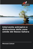 Intervento antropico e disfunzione delle zone umide del Basso Sahara (Italian Edition) 6209833047 Book Cover