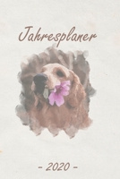 Jahresplaner 2020: Taschenkalender A5 - Terminkalender 2020 - Jahresplaner - Wochenplaner - modisch & schlicht - Organizer B07Y4JJMLH Book Cover