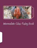 Intermediate Glass Fusing Book: Intermediate Glass Fusing Projects 1466328762 Book Cover